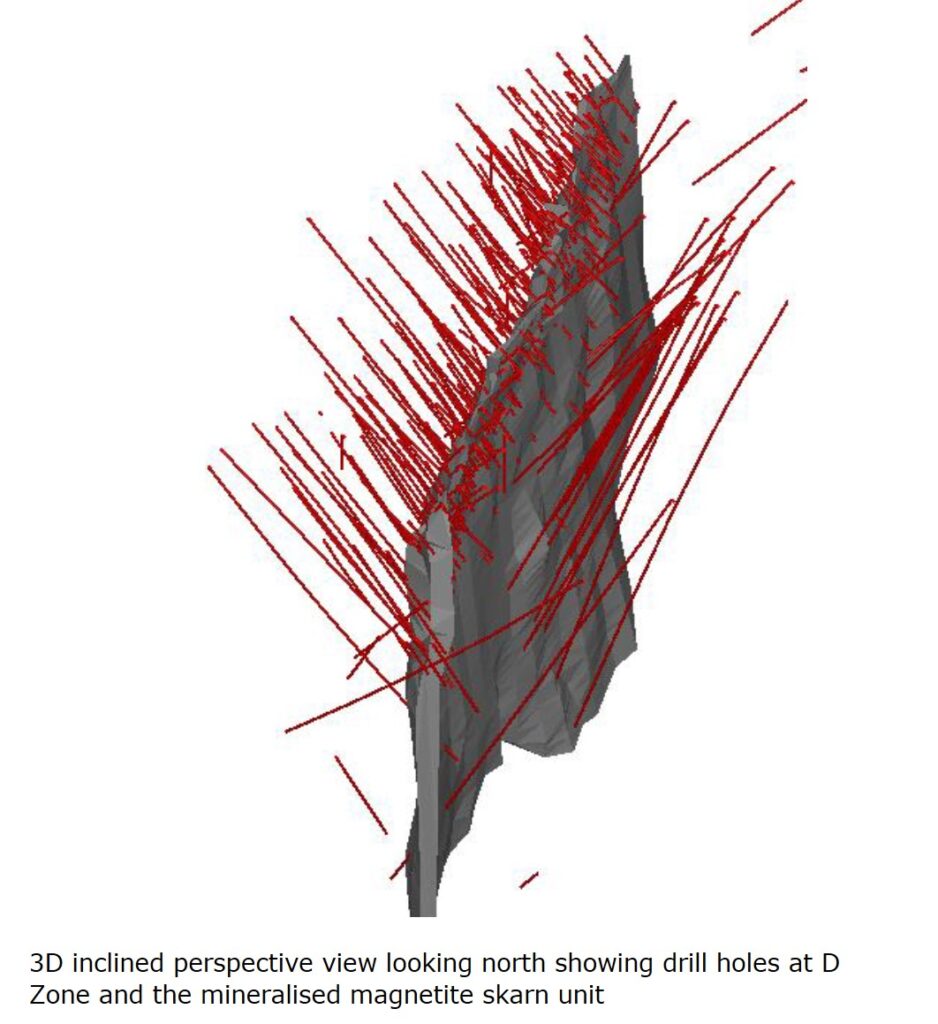 3D inclined perspective view looking north showing drill holes at D Zone and the mineralized magnetite skam unit.